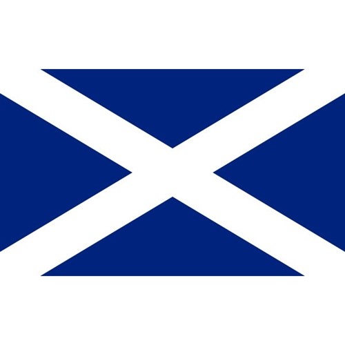 Scotland Flag Hang or Wear 90 x 150cm | OfficeMax MySchool